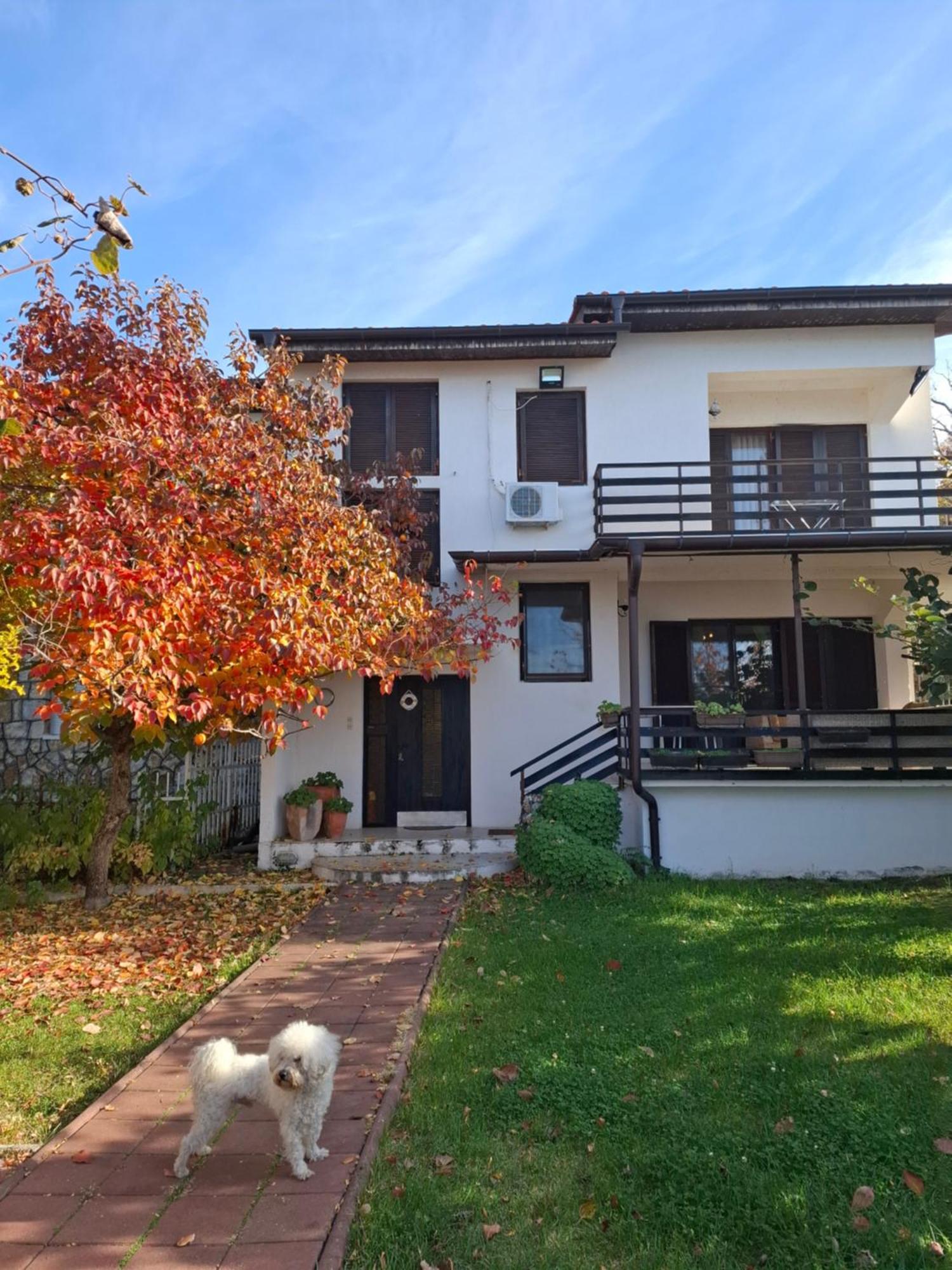 Apartments Villa Boris Ohrid Camera foto