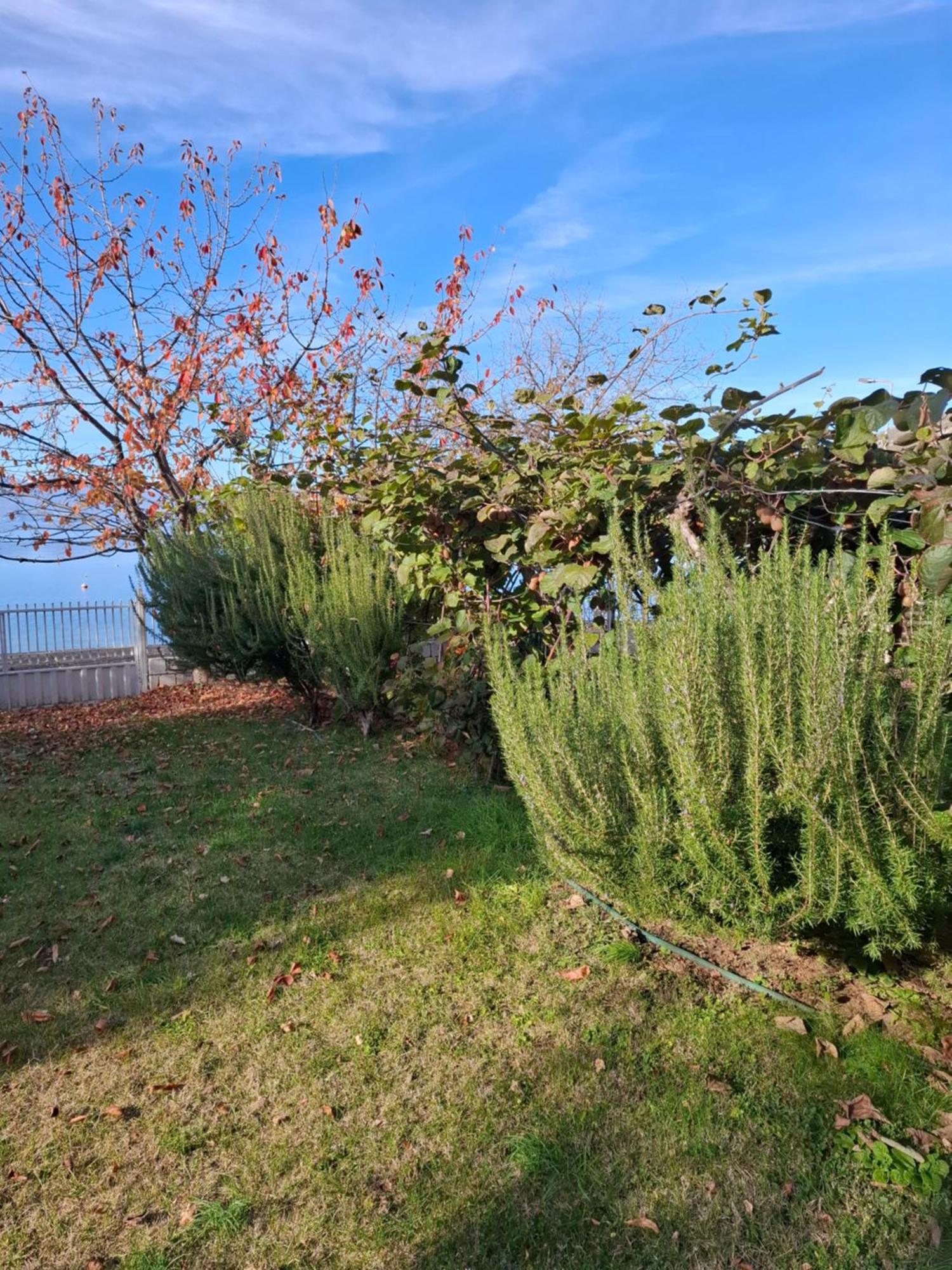 Apartments Villa Boris Ohrid Esterno foto