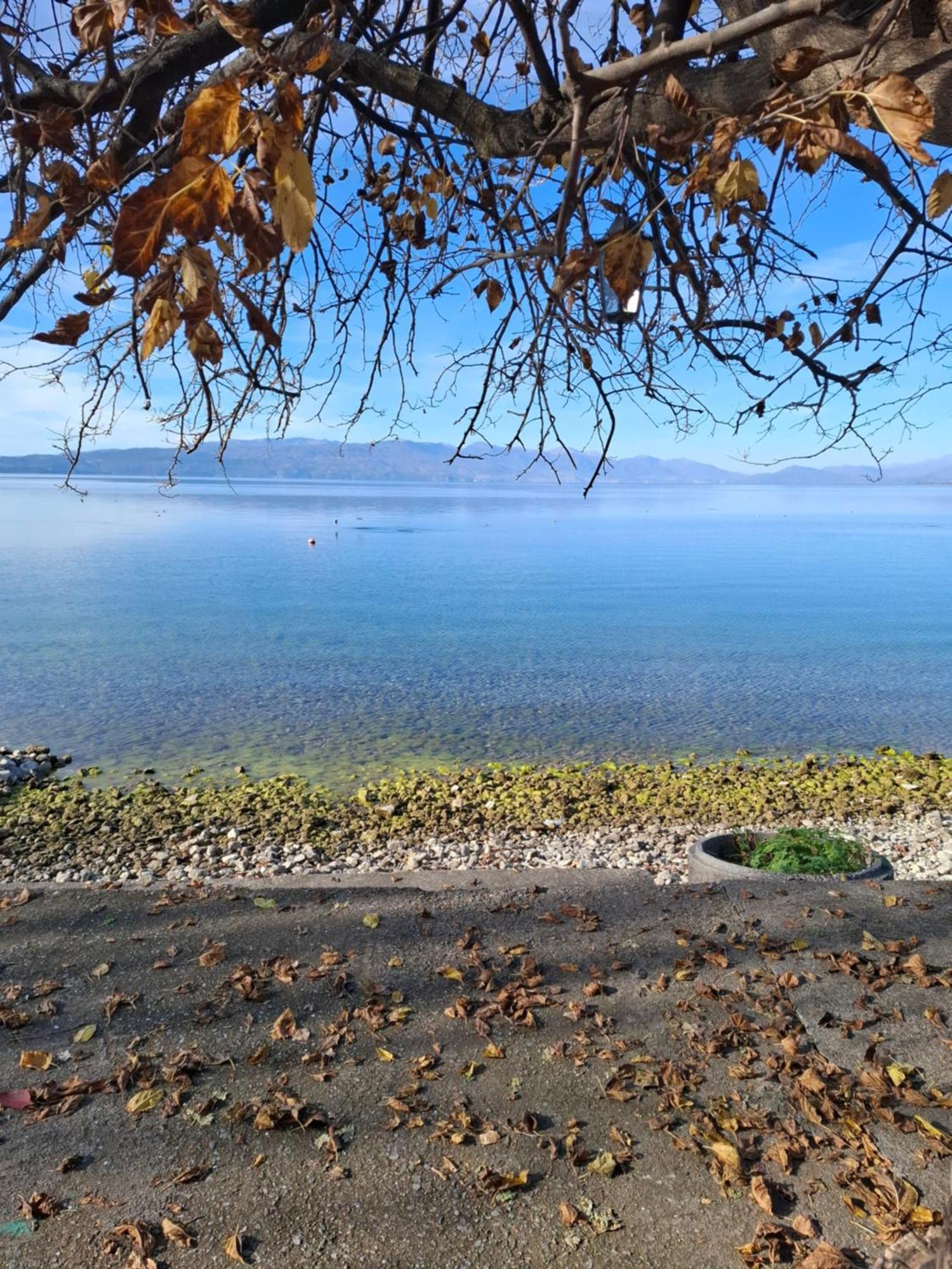 Apartments Villa Boris Ohrid Esterno foto