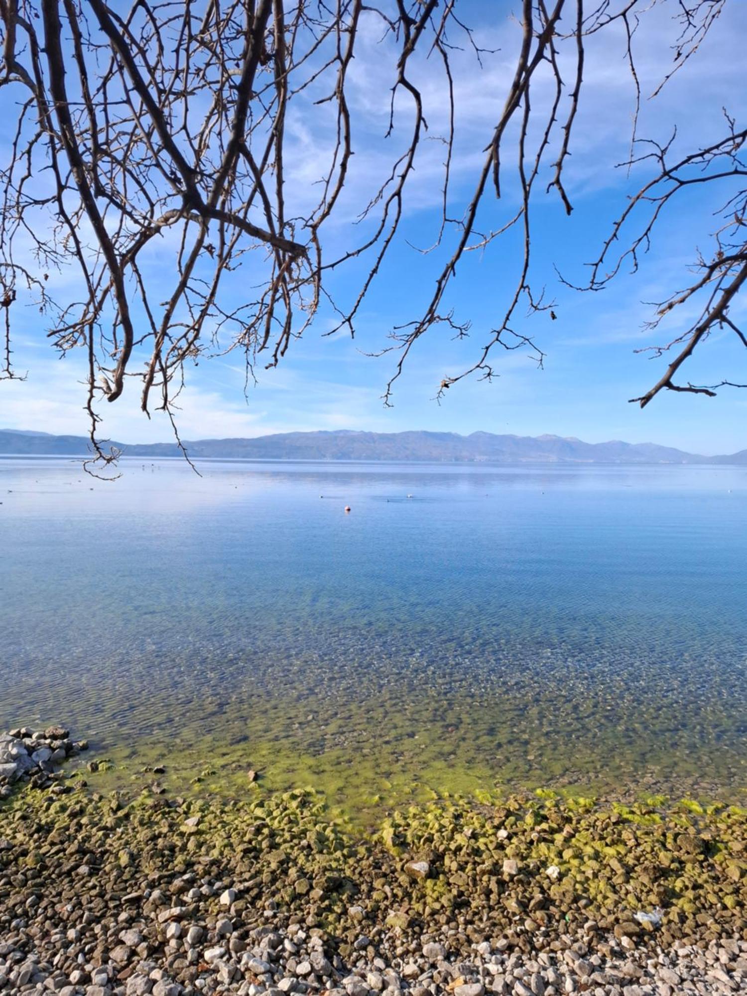 Apartments Villa Boris Ohrid Esterno foto