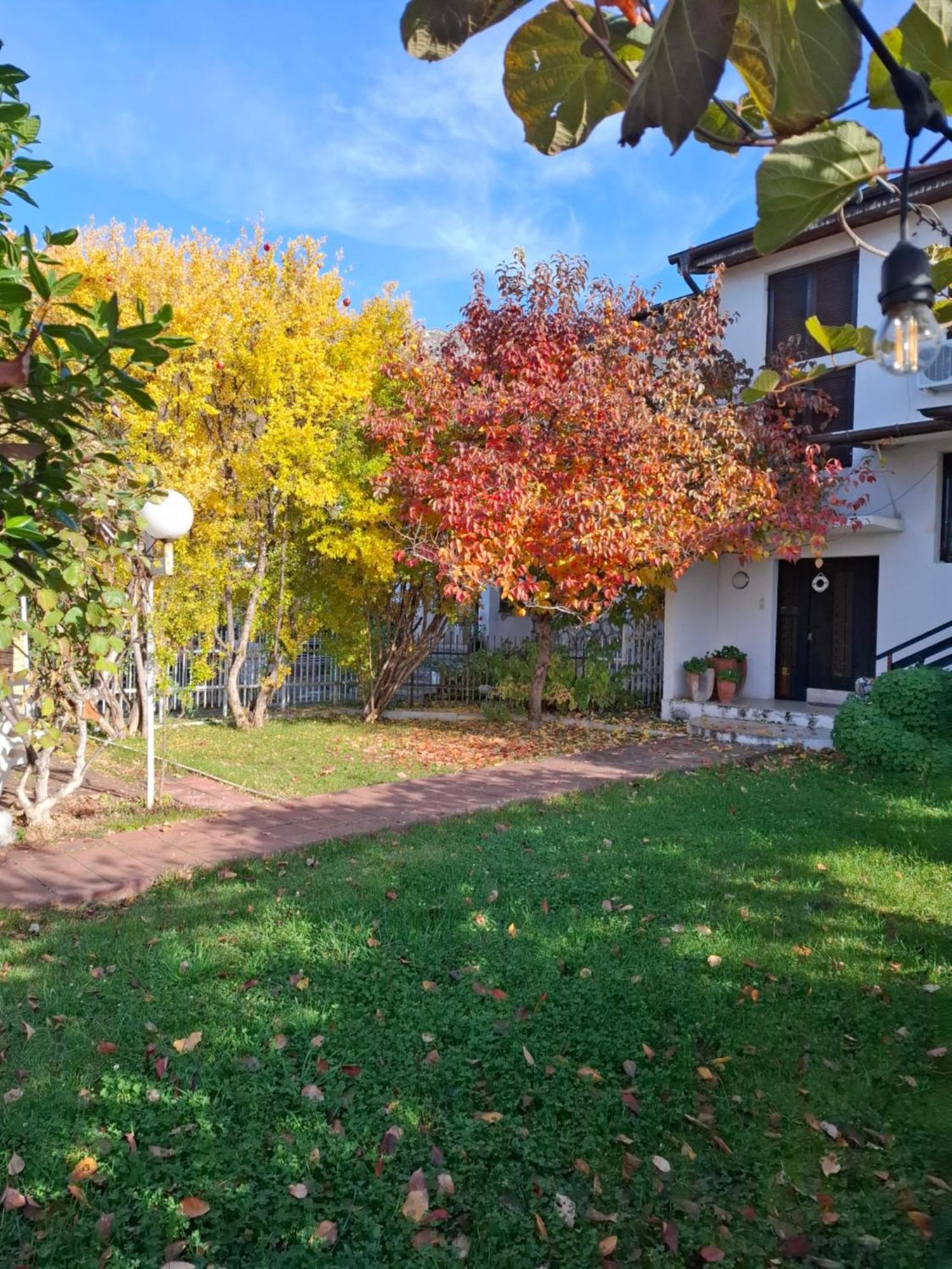 Apartments Villa Boris Ohrid Esterno foto